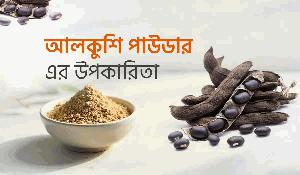 The power of Alkushi Powder in modern Wellness